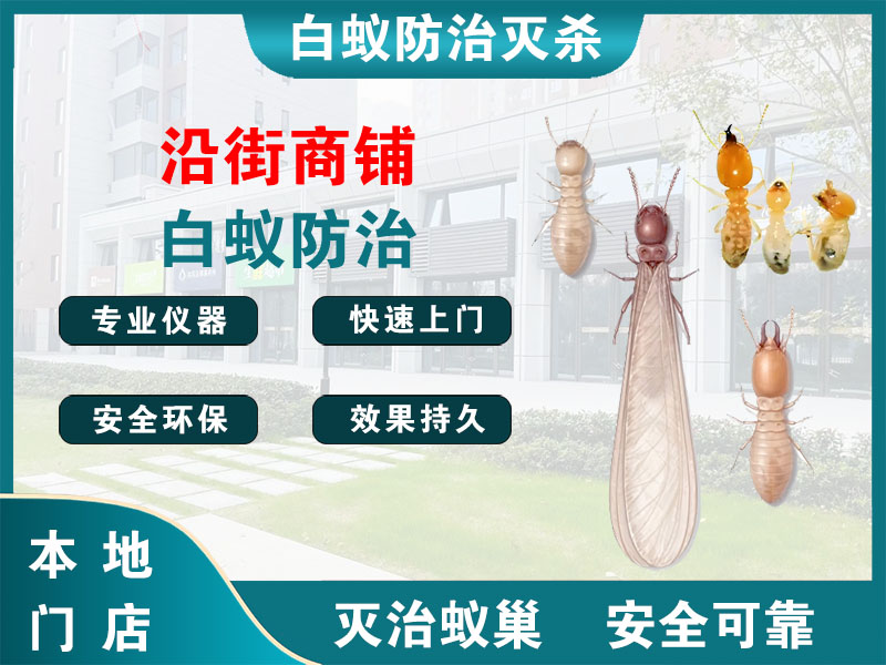 温州沿街商铺白蚁防治
