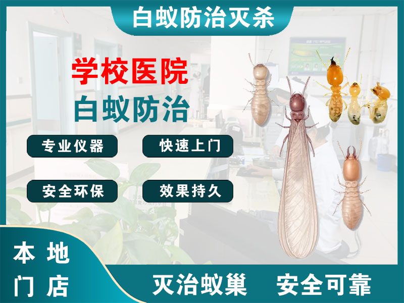 温州学校医院白蚁防治