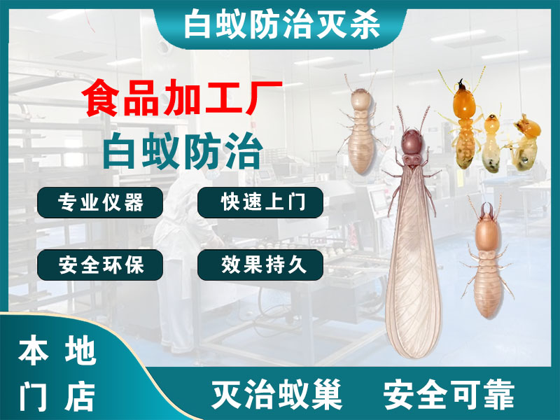 温州食品加工厂白蚁防治