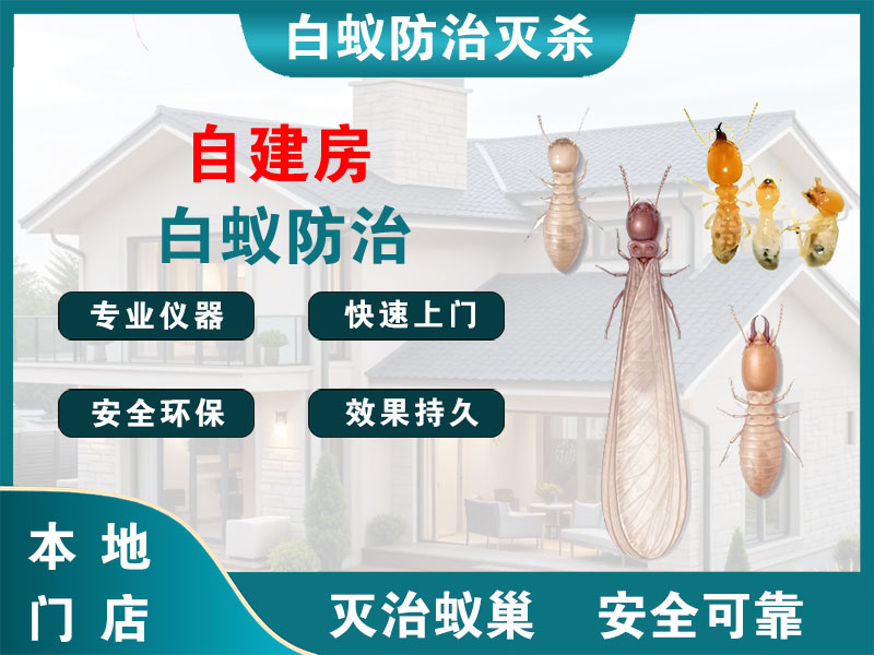 温州自建房白蚁防治