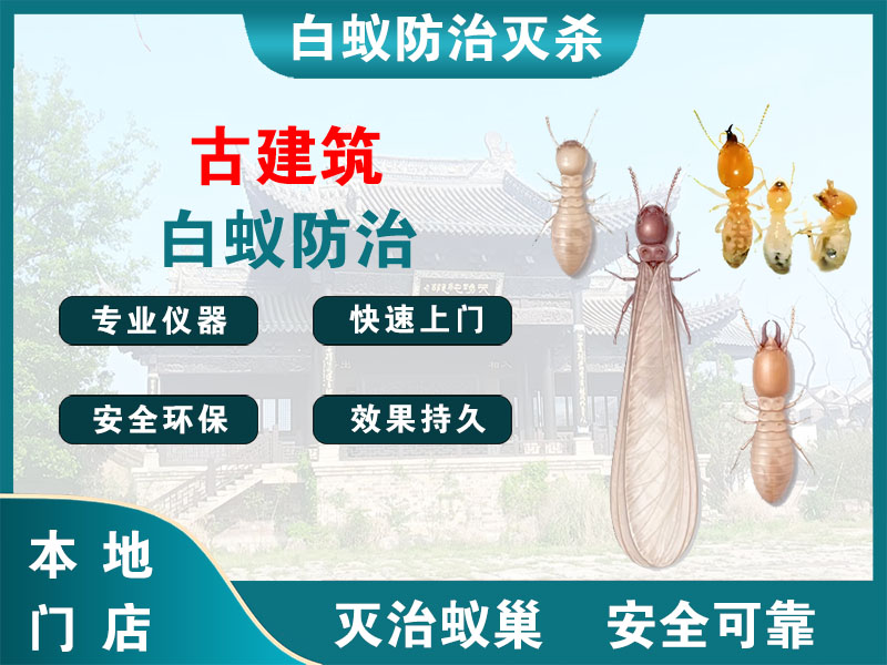 温州古建筑白蚁防治