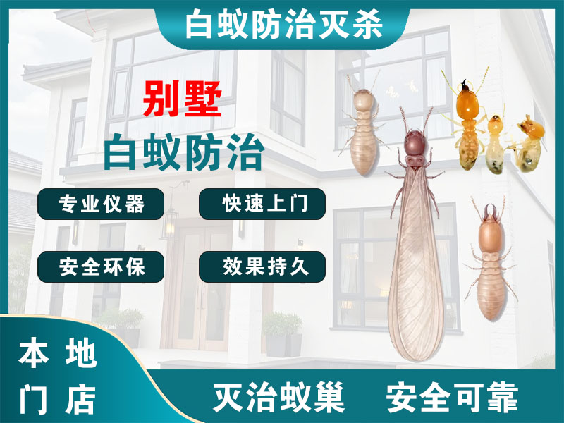 温州别墅白蚁防治
