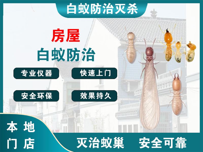 温州房屋白蚁防治